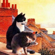 прогулка по крыше