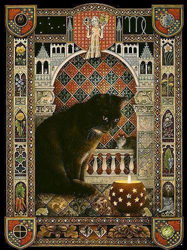 кот шейх - котики - оригинал