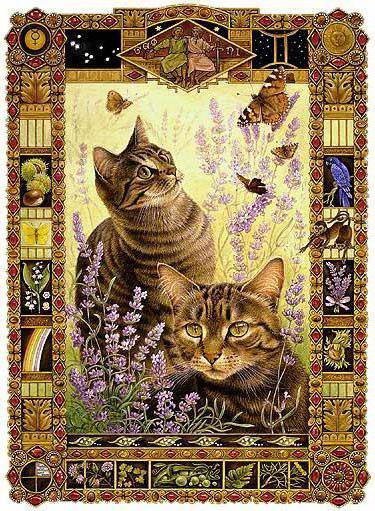 любознательный кот - котики - оригинал