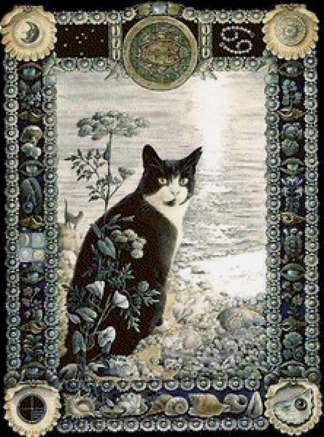 кот философ - котики - предпросмотр