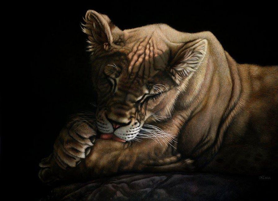 большая кошка - кошка, киса - оригинал