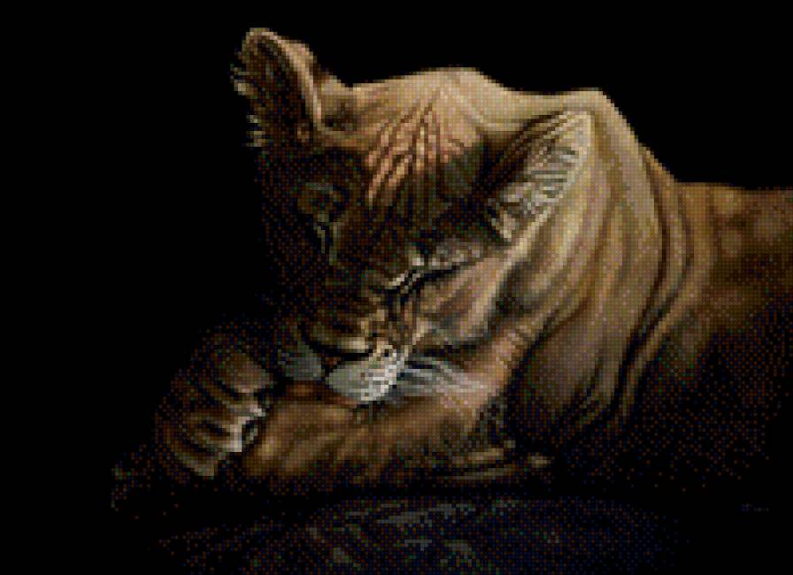 большая кошка - киса, кошка - предпросмотр