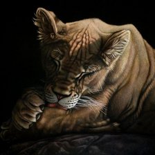 Схема вышивки «большая кошка»