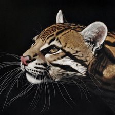 Схема вышивки «кошка»