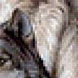 Предпросмотр схемы вышивки «волчья пара.» (№569093)