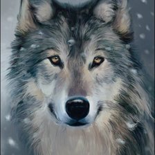 Схема вышивки «Волк»