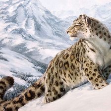 Схема вышивки «барс»