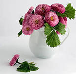 Схема вышивки «ЦВЕТОЧКИ»