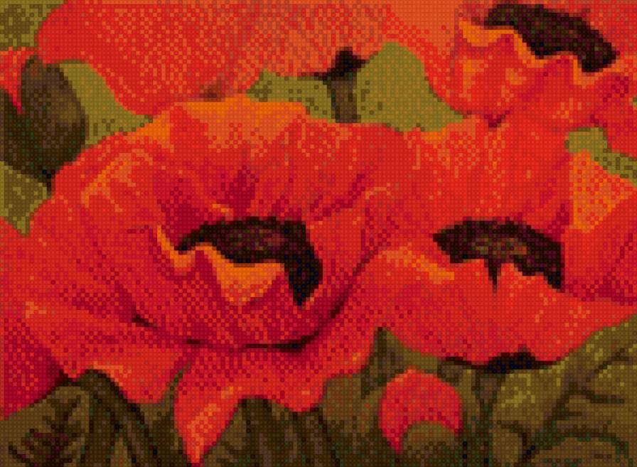 маки5 - маки - предпросмотр