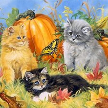 Схема вышивки «котята и тыква»