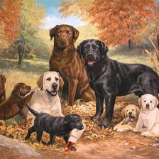 Схема вышивки «семья лабрадоров»