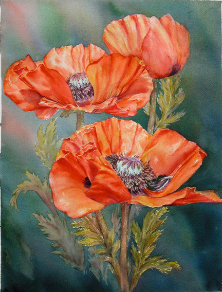 маки12 - маки - оригинал