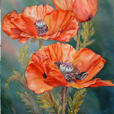 Схема вышивки «маки12»