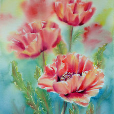 Схема вышивки «маки13»