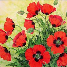 Схема вышивки «маки14»