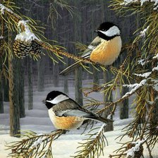 Схема вышивки «синички зимой»