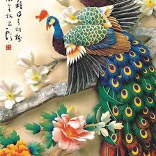 Схема вышивки «Павлин»