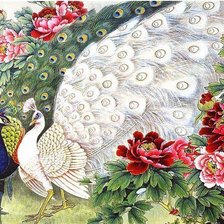 Схема вышивки «Павлины»