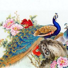 Схема вышивки «Павлины»