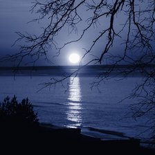 Схема вышивки «Лунная ночь»