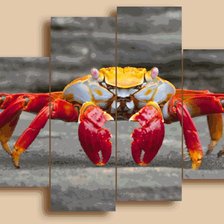 Схема вышивки «№569737»