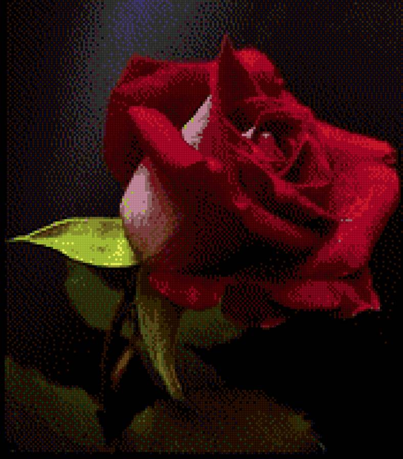 розочка - цветы - предпросмотр