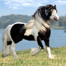 Схема вышивки «Лошадка»