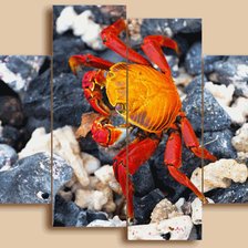 Схема вышивки «№569884»