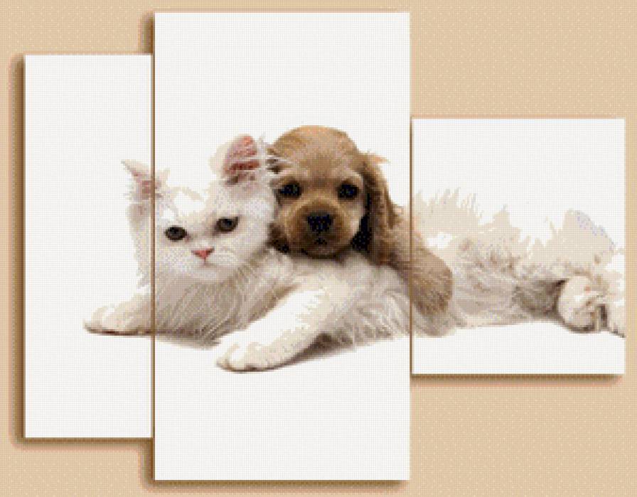 №569912 - кошка, собака, триптих, животные - предпросмотр