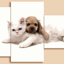 Схема вышивки «№569912»