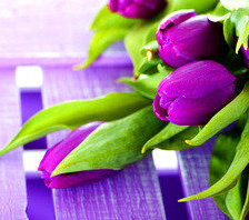 Схема вышивки «тюльпаны»