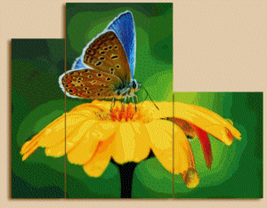 №569915 - цветок, бабочка, триптих - предпросмотр