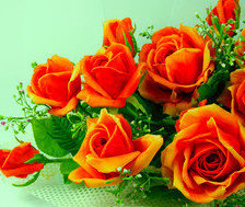 Схема вышивки «розы»