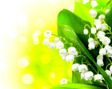 Схема вышивки «ЛАНДЫШИ»