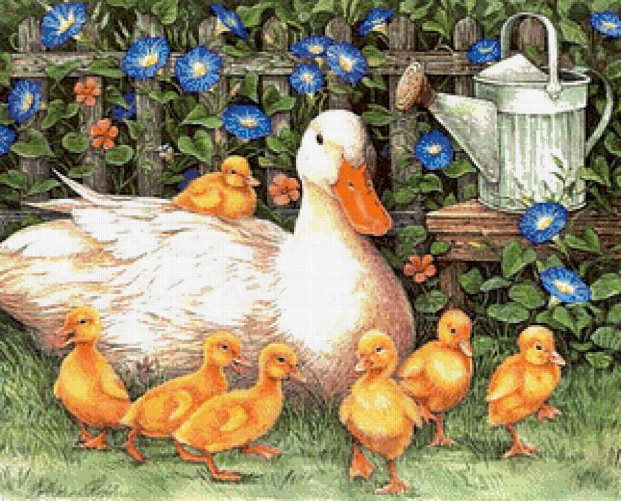 Утка с утятами - птицы, утята, утка, цветы - предпросмотр