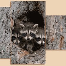 Схема вышивки «№570042»