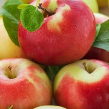 Схема вышивки «№570045»