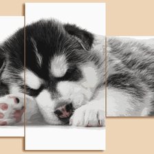 Схема вышивки «№570047»