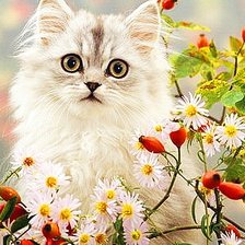 Схема вышивки «№570093»