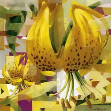 Схема вышивки «№570094»