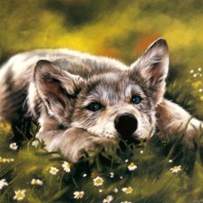 Схема вышивки «№570097»