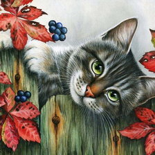 Схема вышивки «котик»