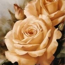 Схема вышивки «Чайная роза»