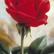 Схема вышивки «Алая роза»