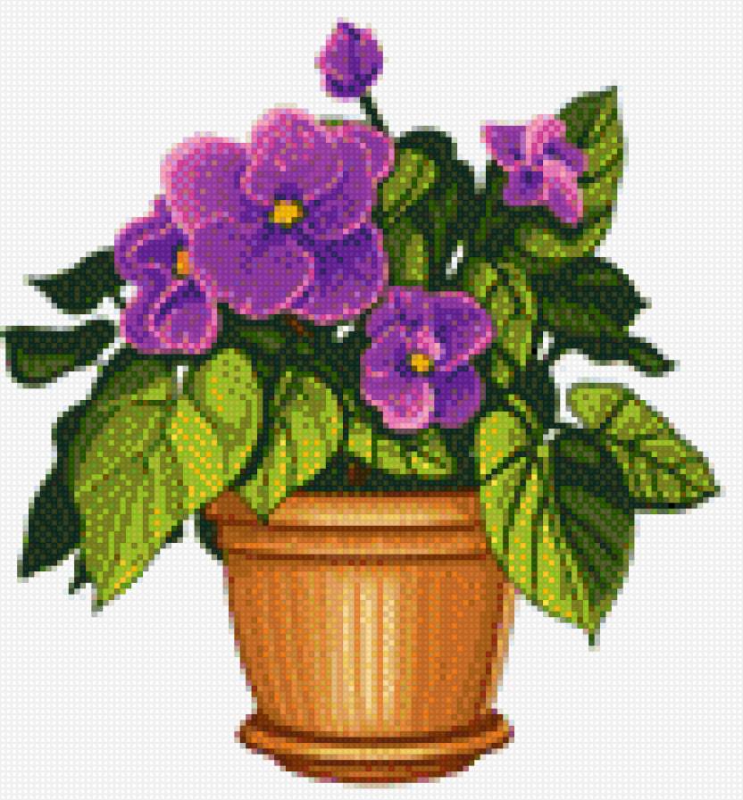 фиалка - предпросмотр