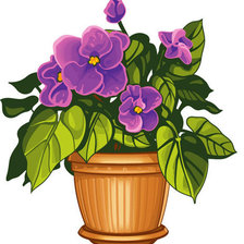 Схема вышивки «фиалка»