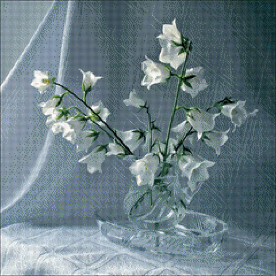 Белые колокольчики. - цветы - предпросмотр