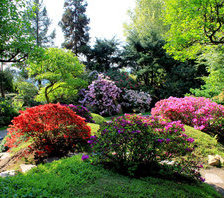 Красота природы