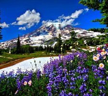 Схема вышивки «Цветочный луг»