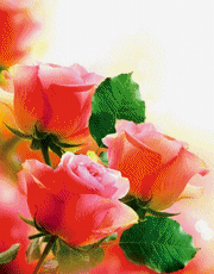 розочки - букет, цветы, роза - предпросмотр